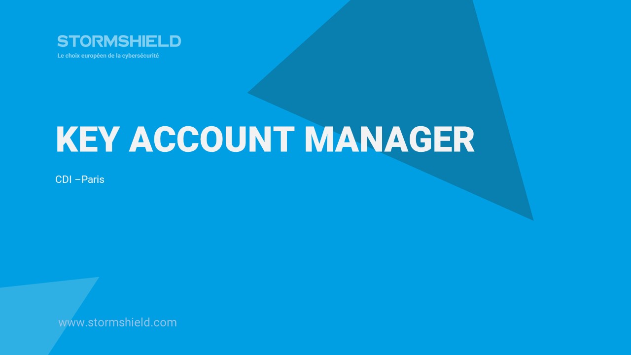 Average Salary Key Account Manager Germany